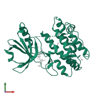 Calcium/calmodulin-dependent protein kinase type 1D in PDB entry 6t28, assembly 1, front view.