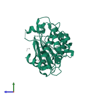 Calcium/calmodulin-dependent protein kinase type 1D in PDB entry 6t28, assembly 1, side view.