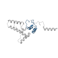 The deposited structure of PDB entry 6t4q contains 1 copy of Pfam domain PF01479 (S4 domain) in Small ribosomal subunit protein uS4A. Showing 1 copy in chain K [auth SJ].