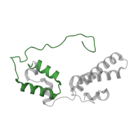 The deposited structure of PDB entry 6t4q contains 1 copy of Pfam domain PF08069 (Ribosomal S13/S15 N-terminal domain) in Small ribosomal subunit protein uS15. Showing 1 copy in chain O [auth SN].