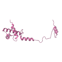 The deposited structure of PDB entry 6t4q contains 1 copy of Pfam domain PF00833 (Ribosomal S17) in Small ribosomal subunit protein eS17A. Showing 1 copy in chain R [auth SR].