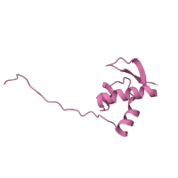 The deposited structure of PDB entry 6t4q contains 1 copy of Pfam domain PF03297 (S25 ribosomal protein) in Small ribosomal subunit protein eS25A. Showing 1 copy in chain Z [auth SZ].