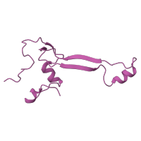 The deposited structure of PDB entry 6t4q contains 1 copy of Pfam domain PF01283 (Ribosomal protein S26e) in Small ribosomal subunit protein eS26B. Showing 1 copy in chain AA [auth Sa].