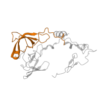 The deposited structure of PDB entry 6t4q contains 1 copy of Pfam domain PF00181 (Ribosomal Proteins L2, RNA binding domain) in Large ribosomal subunit protein uL2A. Showing 1 copy in chain JA [auth LA].