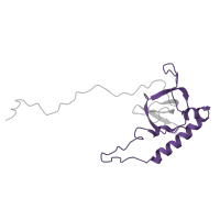 The deposited structure of PDB entry 6t4q contains 1 copy of Pfam domain PF01159 (Ribosomal protein L6e) in Large ribosomal subunit protein eL6B. Showing 1 copy in chain NA [auth LE].