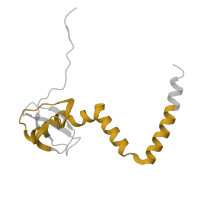 The deposited structure of PDB entry 6t4q contains 1 copy of Pfam domain PF01929 (Ribosomal protein L14) in Large ribosomal subunit protein eL14A. Showing 1 copy in chain UA [auth LM].