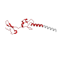 The deposited structure of PDB entry 6t4q contains 1 copy of Pfam domain PF01199 (Ribosomal protein L34e) in Large ribosomal subunit protein eL34A. Showing 1 copy in chain OB [auth Lg].