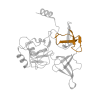 The deposited structure of PDB entry 6t4q contains 1 copy of Pfam domain PF00467 (KOW motif) in Small ribosomal subunit protein eS4A. Showing 1 copy in chain F [auth SE].