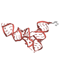 The deposited structure of PDB entry 6t4q contains 1 copy of Rfam domain RF00005 (tRNA) in tRNA (E/E). Showing 1 copy in chain BC [auth 7].