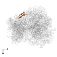 Small ribosomal subunit protein eS1A in PDB entry 6t4q, assembly 1, top view.