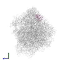 Small ribosomal subunit protein RACK1 in PDB entry 6t4q, assembly 1, side view.