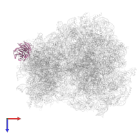 Small ribosomal subunit protein RACK1 in PDB entry 6t4q, assembly 1, top view.