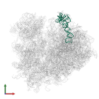 5S ribosomal RNA in PDB entry 6t4q, assembly 1, front view.