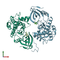PDB entry 6t6f coloured by chain, front view.