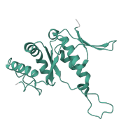 The deposited structure of PDB entry 6t7i contains 1 copy of Pfam domain PF01251 (Ribosomal protein S7e) in Small ribosomal subunit protein eS7A. Showing 1 copy in chain J [auth SH].