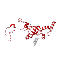 The deposited structure of PDB entry 6t7i contains 1 copy of Pfam domain PF01201 (Ribosomal protein S8e) in Small ribosomal subunit protein eS8A. Showing 1 copy in chain K [auth SI].