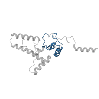 The deposited structure of PDB entry 6t7i contains 1 copy of Pfam domain PF01479 (S4 domain) in Small ribosomal subunit protein uS4A. Showing 1 copy in chain L [auth SJ].