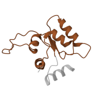 The deposited structure of PDB entry 6t7i contains 1 copy of Pfam domain PF01248 (Ribosomal protein L7Ae/L30e/S12e/Gadd45 family) in Small ribosomal subunit protein eS12. Showing 1 copy in chain O [auth SM].