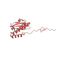 The deposited structure of PDB entry 6t7i contains 1 copy of Pfam domain PF00380 (Ribosomal protein S9/S16) in Small ribosomal subunit protein uS9A. Showing 1 copy in chain R [auth SQ].