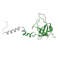 The deposited structure of PDB entry 6t7i contains 1 copy of Pfam domain PF00164 (Ribosomal protein S12/S23) in Small ribosomal subunit protein uS12A. Showing 1 copy in chain Y [auth SX].