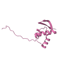 The deposited structure of PDB entry 6t7i contains 1 copy of Pfam domain PF03297 (S25 ribosomal protein) in Small ribosomal subunit protein eS25A. Showing 1 copy in chain AA [auth SZ].