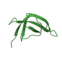 The deposited structure of PDB entry 6t7i contains 1 copy of Pfam domain PF01200 (Ribosomal protein S28e) in Small ribosomal subunit protein eS28B. Showing 1 copy in chain HA [auth Sc].