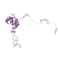 The deposited structure of PDB entry 6t7i contains 1 copy of Pfam domain PF00573 (Ribosomal protein L4/L1 family) in Large ribosomal subunit protein uL4A. Showing 1 copy in chain MA [auth LC].