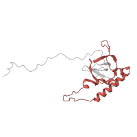 The deposited structure of PDB entry 6t7i contains 1 copy of Pfam domain PF01159 (Ribosomal protein L6e) in Large ribosomal subunit protein eL6B. Showing 1 copy in chain OA [auth LE].