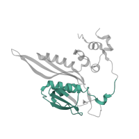 The deposited structure of PDB entry 6t7i contains 1 copy of Pfam domain PF03719 (Ribosomal protein S5, C-terminal domain) in Small ribosomal subunit protein uS5. Showing 1 copy in chain E [auth SC].