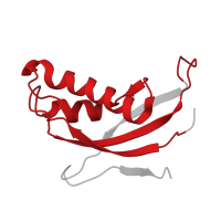 The deposited structure of PDB entry 6t7i contains 1 copy of Pfam domain PF01198 (Ribosomal protein L31e) in Large ribosomal subunit protein eL31A. Showing 1 copy in chain MB [auth Ld].