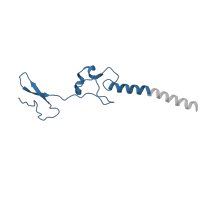 The deposited structure of PDB entry 6t7i contains 1 copy of Pfam domain PF01199 (Ribosomal protein L34e) in Large ribosomal subunit protein eL34A. Showing 1 copy in chain PB [auth Lg].