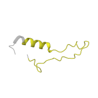 The deposited structure of PDB entry 6t7i contains 1 copy of Pfam domain PF00832 (Ribosomal L39 protein) in Large ribosomal subunit protein eL39. Showing 1 copy in chain UB [auth Ll].