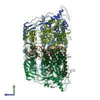 PDB 6t8g coloured by chain and viewed from the side.