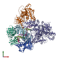 PDB entry 6t8h coloured by chain, front view.