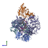 PDB entry 6t8h coloured by chain, side view.