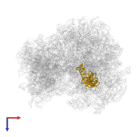5S ribosomal RNA in PDB entry 6tb3, assembly 1, top view.