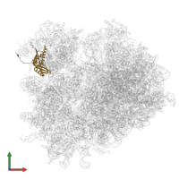 Small ribosomal subunit protein uS3 in PDB entry 6tb3, assembly 1, front view.