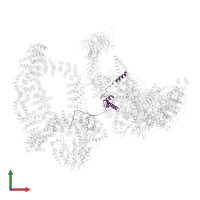 Transcription initiation factor TFIID subunit 12 domain-containing protein in PDB entry 6tbm, assembly 1, front view.