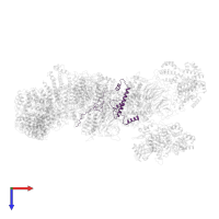 Transcription initiation factor TFIID subunit 12 domain-containing protein in PDB entry 6tbm, assembly 1, top view.