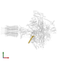 inhibitor of F1 (IF1) in PDB entry 6tdz, assembly 1, front view.