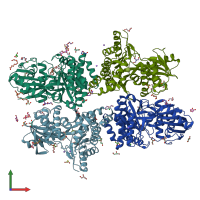 PDB entry 6ter coloured by chain, front view.