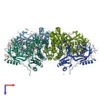 PDB entry 6ter coloured by chain, top view.