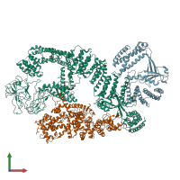 PDB entry 6tgb coloured by chain, front view.