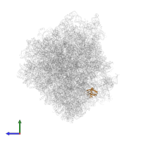 Small ribosomal subunit protein eS10A in PDB entry 6tnu, assembly 1, side view.