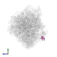 Small ribosomal subunit protein eS12 in PDB entry 6tnu, assembly 1, side view.