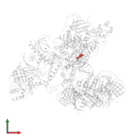 Modified residue DOC in PDB entry 6tny, assembly 1, front view.