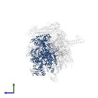 DNA-directed RNA polymerase subunit beta' in PDB entry 6tqn, assembly 1, side view.