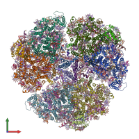 PDB entry 6trd coloured by chain, front view.