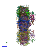 PDB entry 6trd coloured by chain, side view.