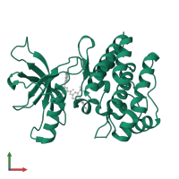 Inactive tyrosine-protein kinase transmembrane receptor ROR1 in PDB entry 6tu9, assembly 1, front view.